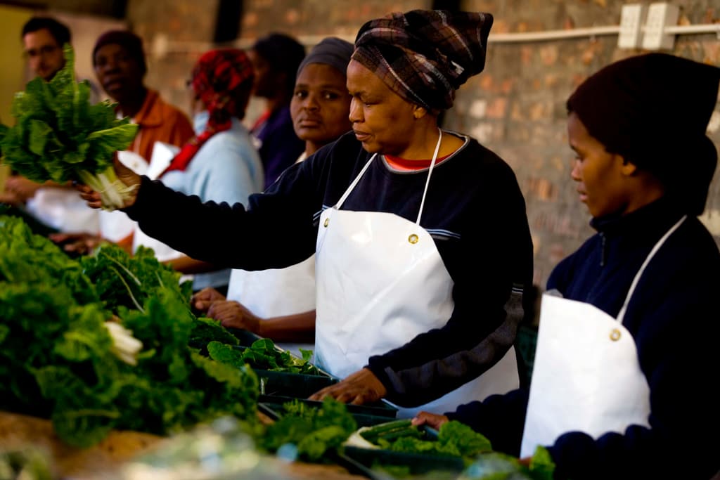 Women in aprons sorting fresh vegetables together at a market in Guguletu, Cape Town